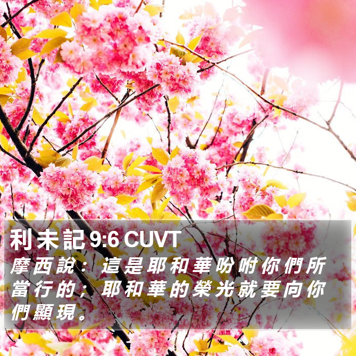 利 未 記 9:6 CUVT Bible Study