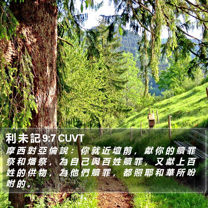 利 未 記 9:7 CUVT Bible Study