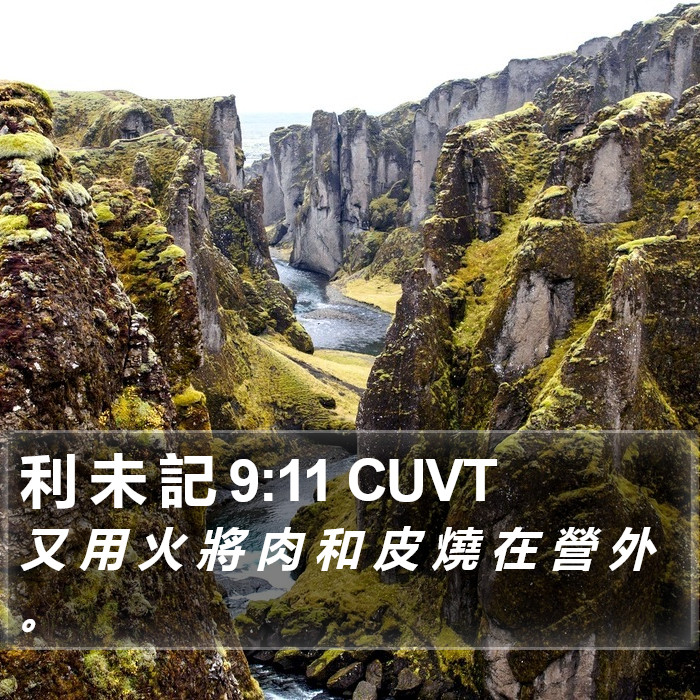 利 未 記 9:11 CUVT Bible Study