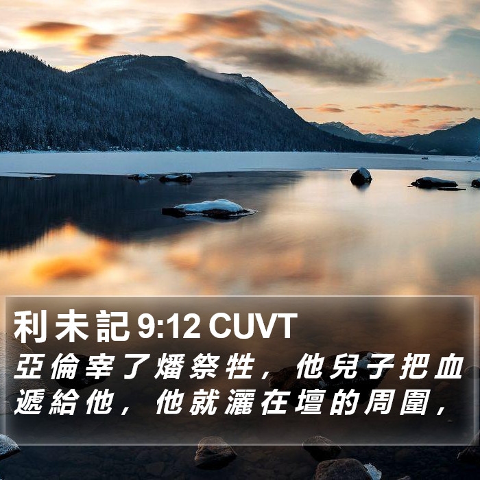 利 未 記 9:12 CUVT Bible Study