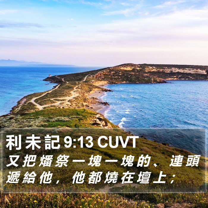 利 未 記 9:13 CUVT Bible Study