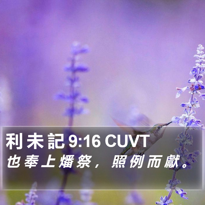 利 未 記 9:16 CUVT Bible Study