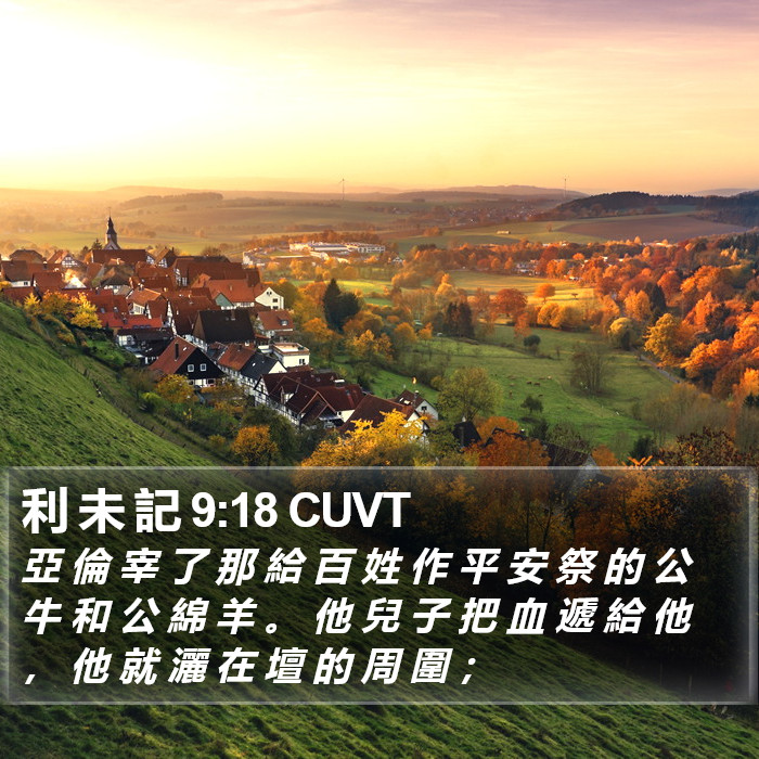 利 未 記 9:18 CUVT Bible Study