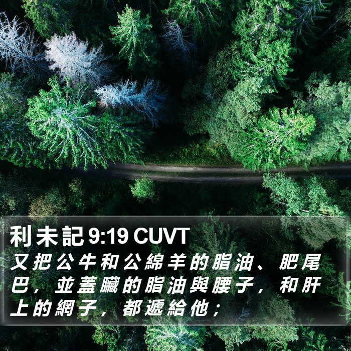 利 未 記 9:19 CUVT Bible Study