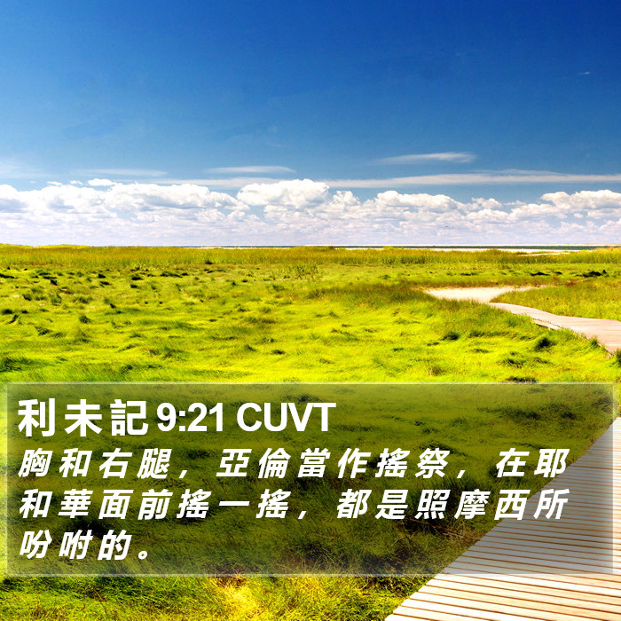 利 未 記 9:21 CUVT Bible Study