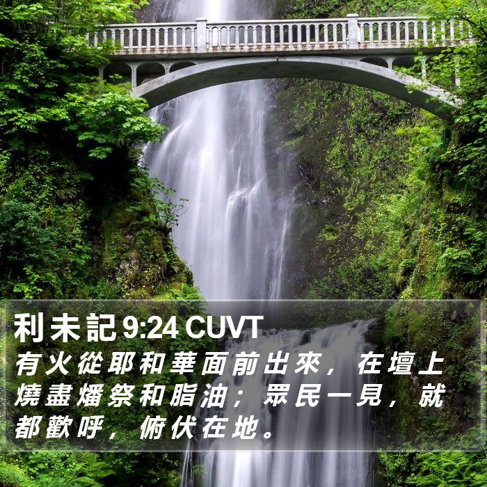 利 未 記 9:24 CUVT Bible Study