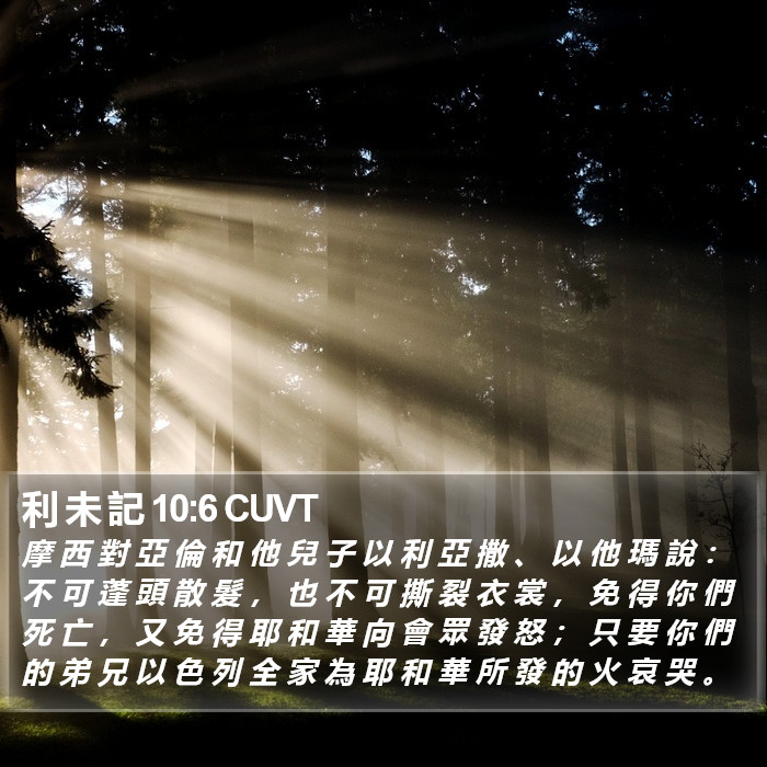 利 未 記 10:6 CUVT Bible Study