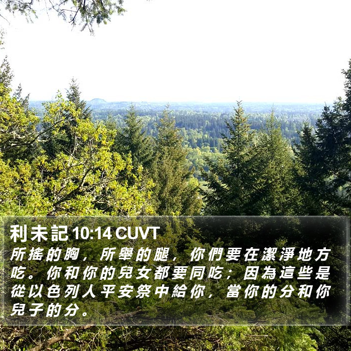 利 未 記 10:14 CUVT Bible Study
