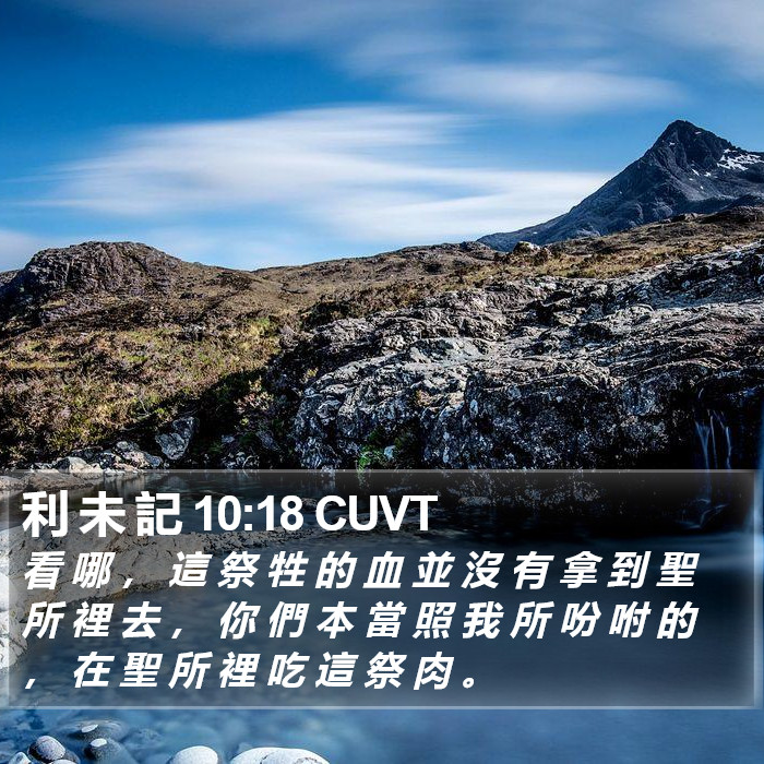 利 未 記 10:18 CUVT Bible Study