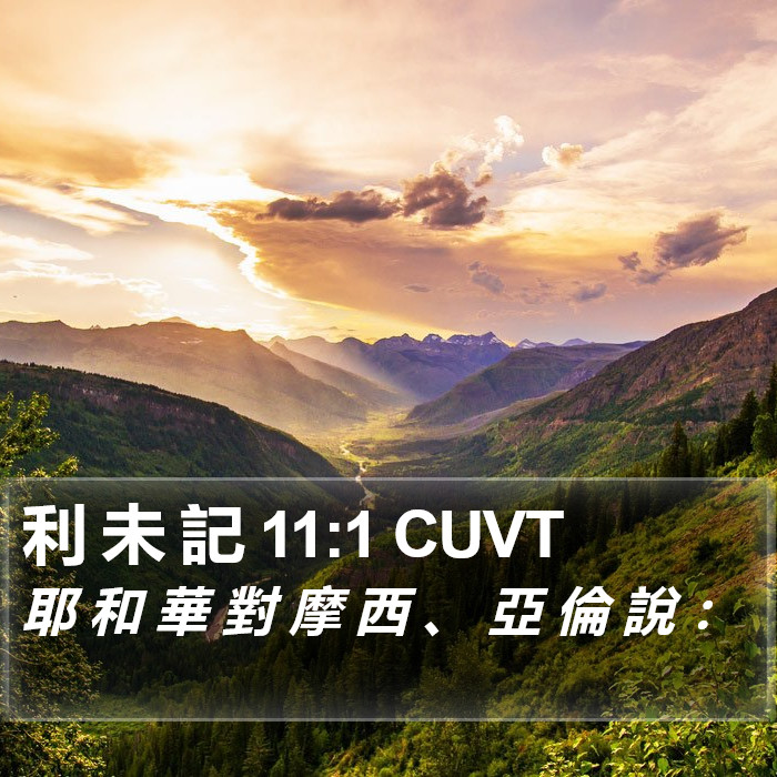 利 未 記 11:1 CUVT Bible Study