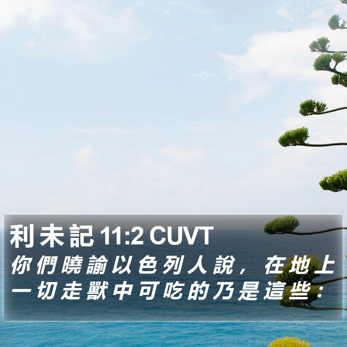 利 未 記 11:2 CUVT Bible Study