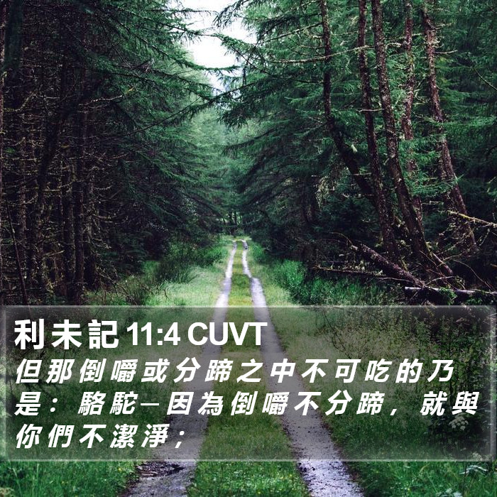 利 未 記 11:4 CUVT Bible Study
