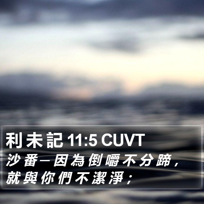 利 未 記 11:5 CUVT Bible Study