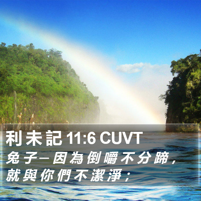 利 未 記 11:6 CUVT Bible Study