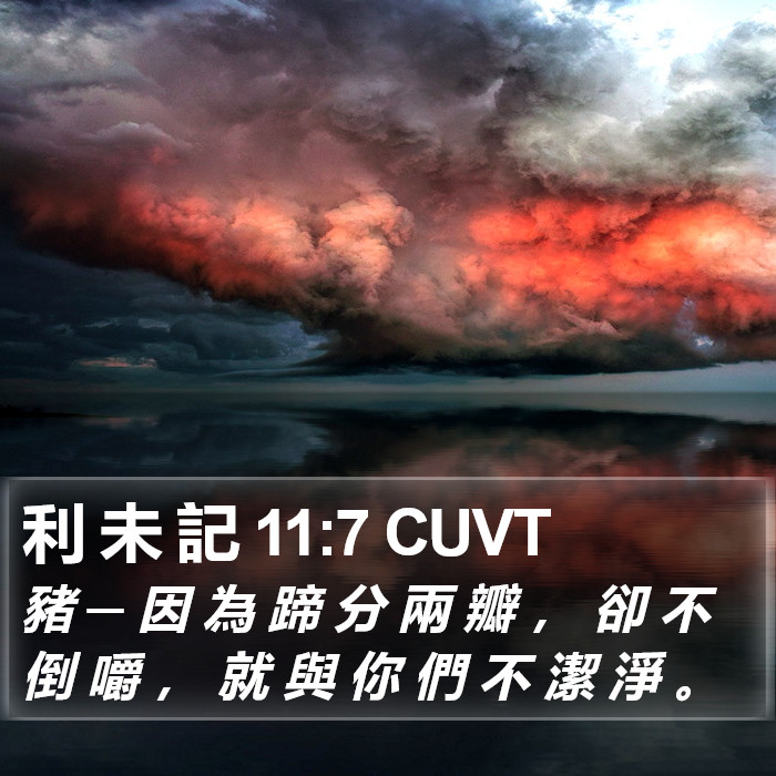 利 未 記 11:7 CUVT Bible Study
