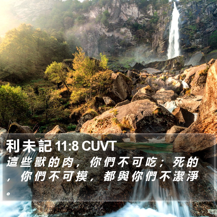 利 未 記 11:8 CUVT Bible Study
