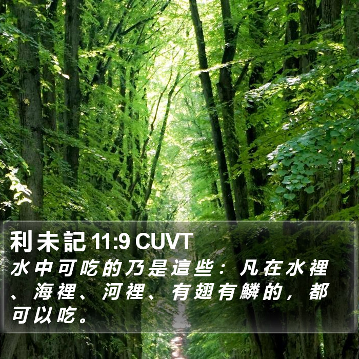 利 未 記 11:9 CUVT Bible Study