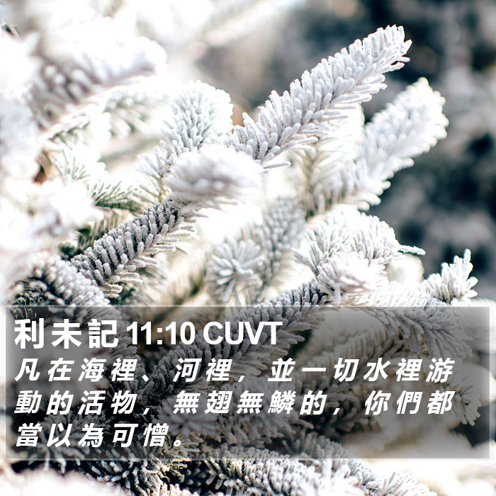 利 未 記 11:10 CUVT Bible Study