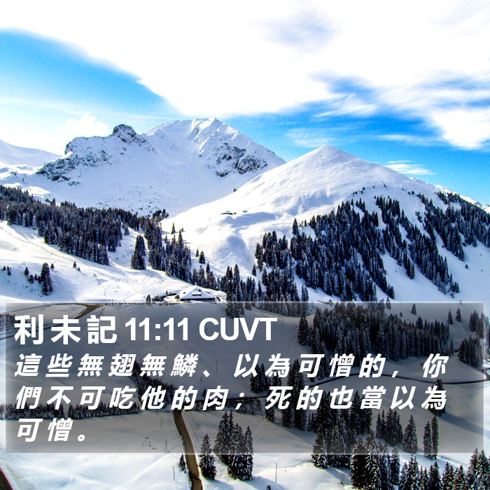 利 未 記 11:11 CUVT Bible Study