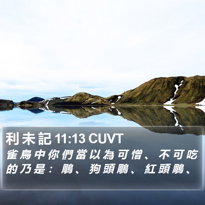 利 未 記 11:13 CUVT Bible Study