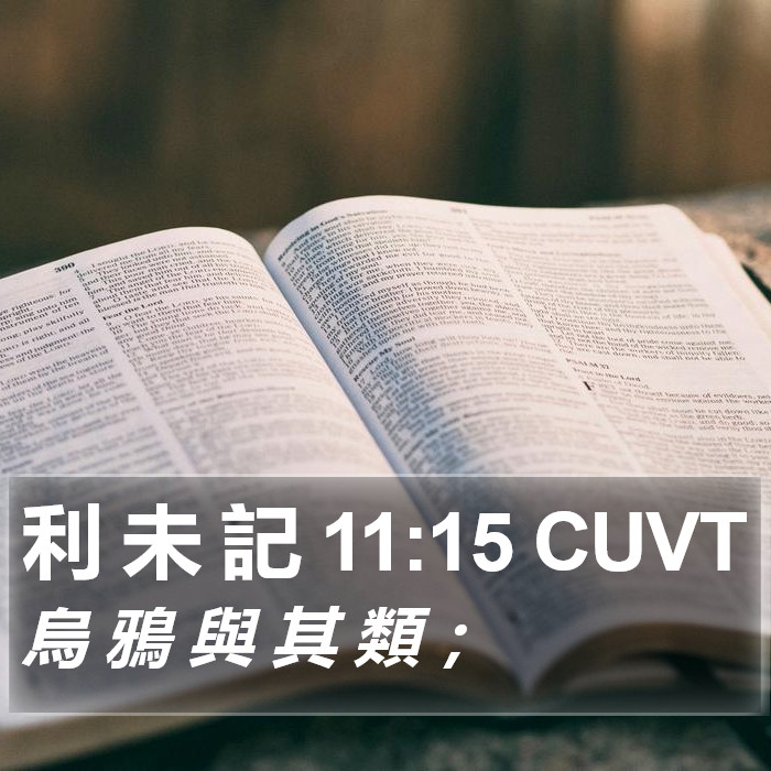 利 未 記 11:15 CUVT Bible Study