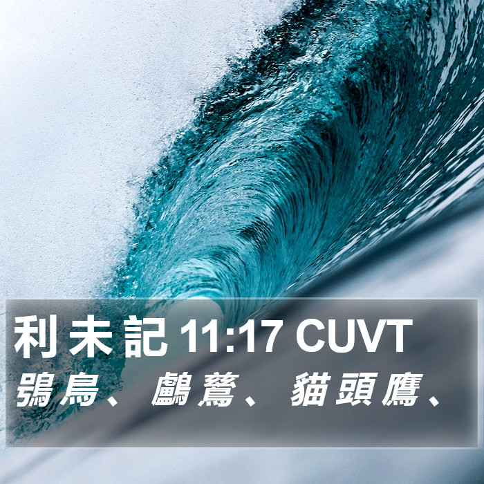 利 未 記 11:17 CUVT Bible Study