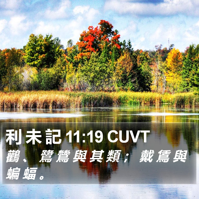 利 未 記 11:19 CUVT Bible Study