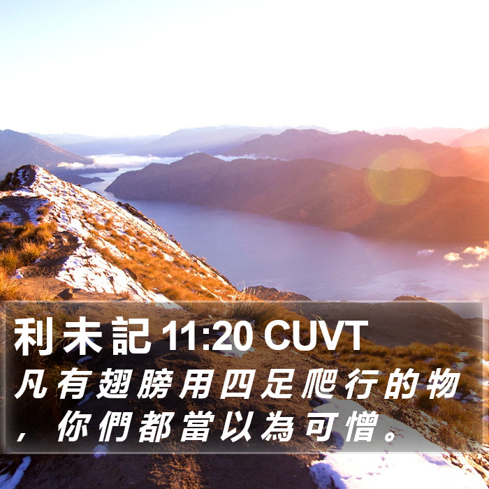 利 未 記 11:20 CUVT Bible Study
