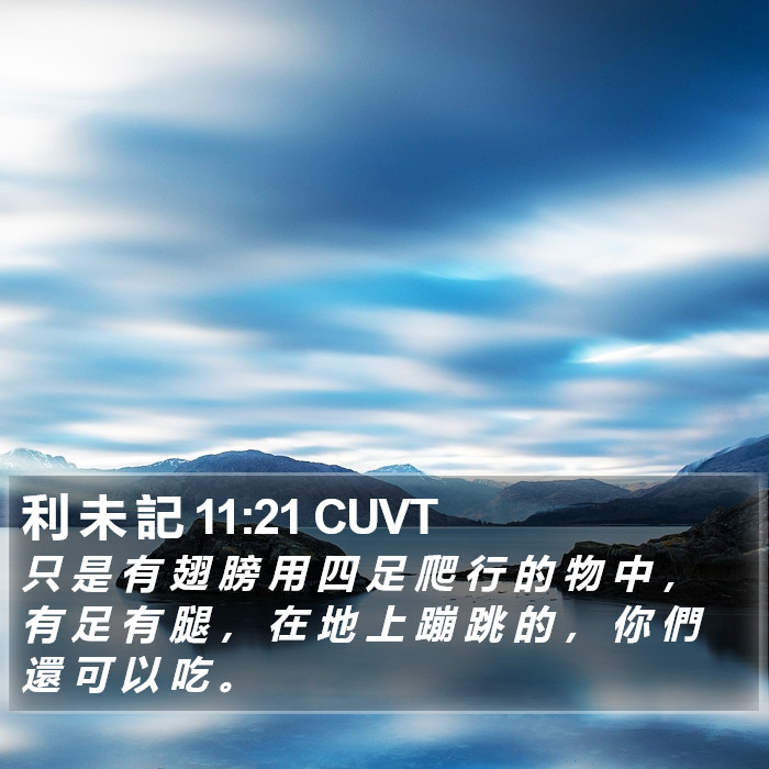 利 未 記 11:21 CUVT Bible Study