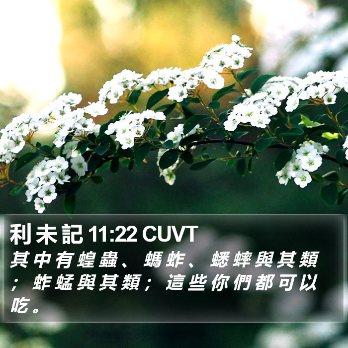 利 未 記 11:22 CUVT Bible Study