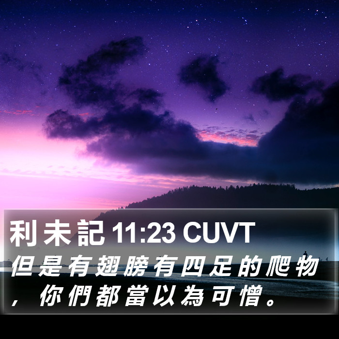 利 未 記 11:23 CUVT Bible Study