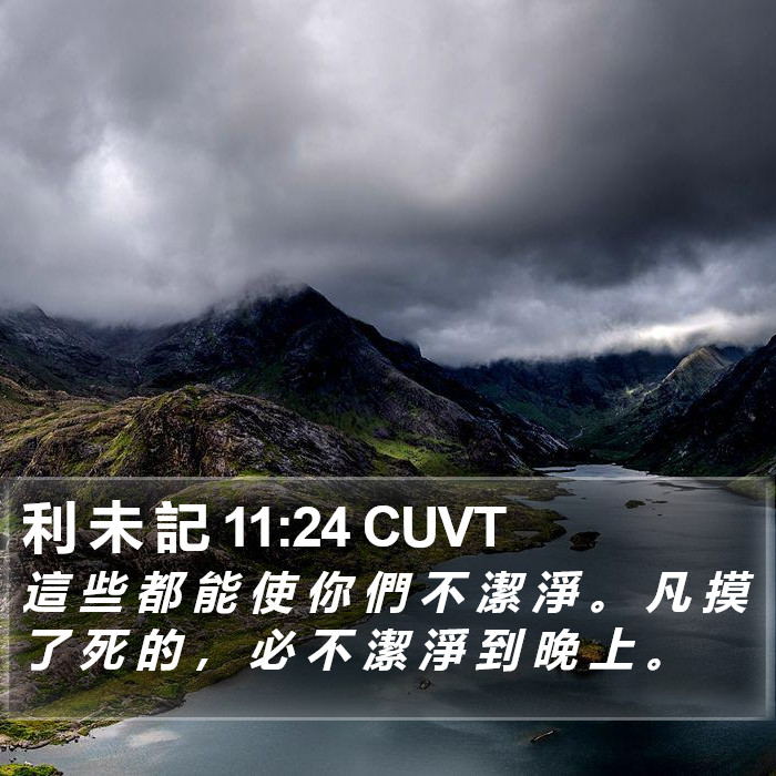 利 未 記 11:24 CUVT Bible Study