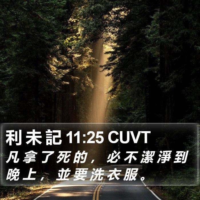 利 未 記 11:25 CUVT Bible Study