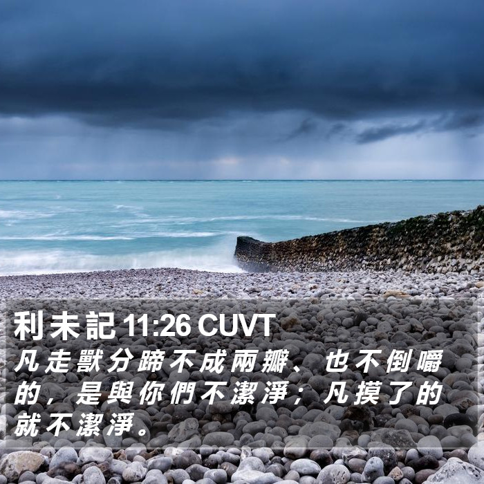 利 未 記 11:26 CUVT Bible Study