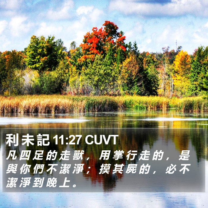 利 未 記 11:27 CUVT Bible Study