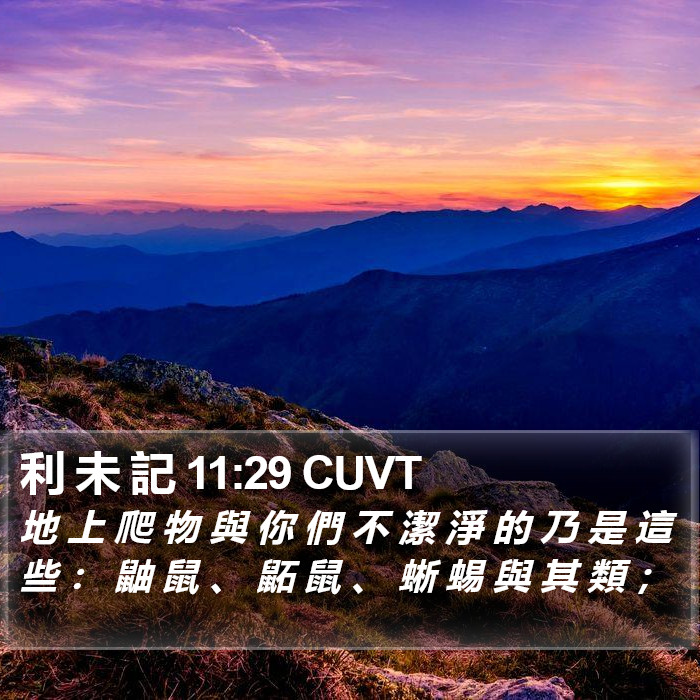 利 未 記 11:29 CUVT Bible Study