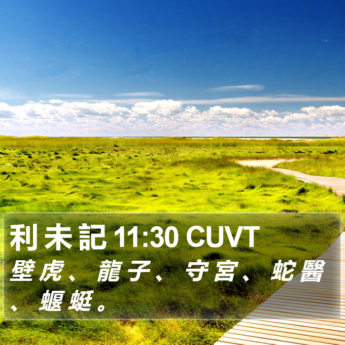 利 未 記 11:30 CUVT Bible Study
