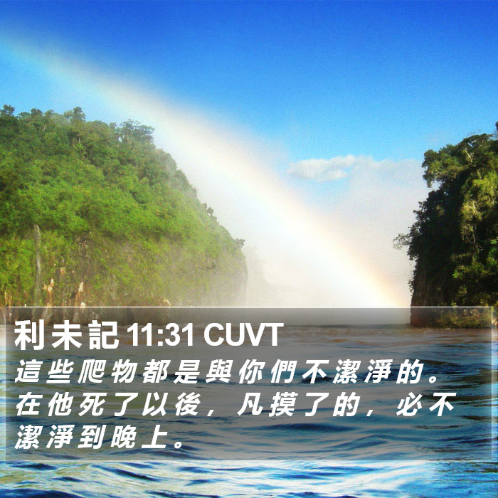 利 未 記 11:31 CUVT Bible Study