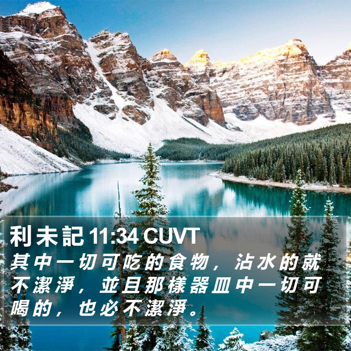 利 未 記 11:34 CUVT Bible Study