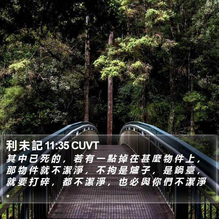 利 未 記 11:35 CUVT Bible Study