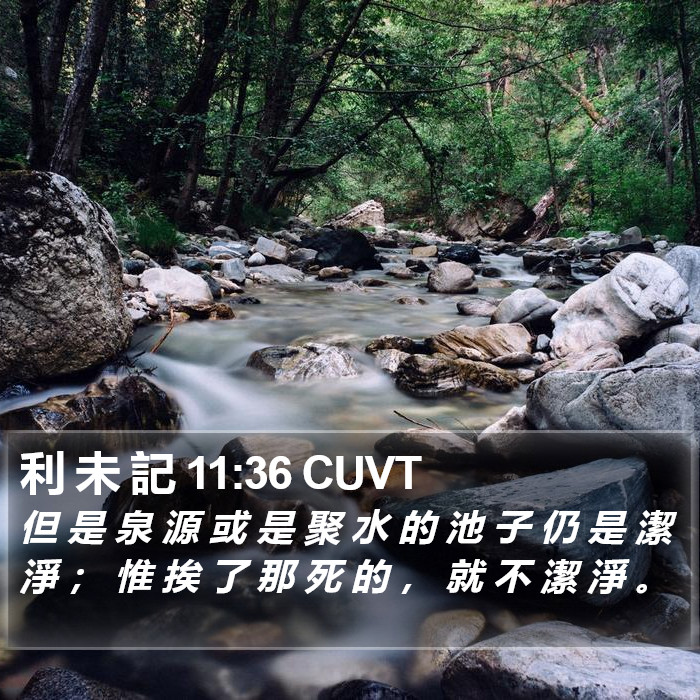 利 未 記 11:36 CUVT Bible Study