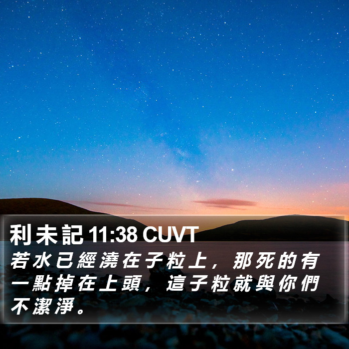 利 未 記 11:38 CUVT Bible Study