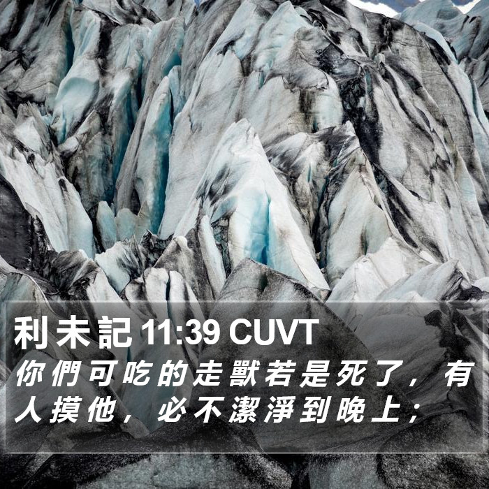 利 未 記 11:39 CUVT Bible Study