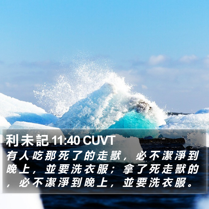 利 未 記 11:40 CUVT Bible Study