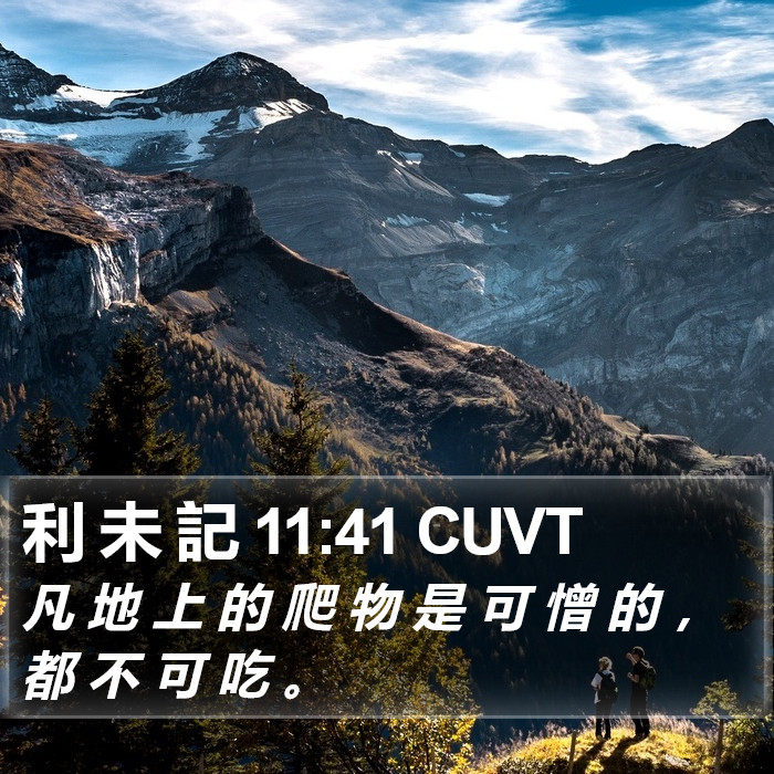 利 未 記 11:41 CUVT Bible Study