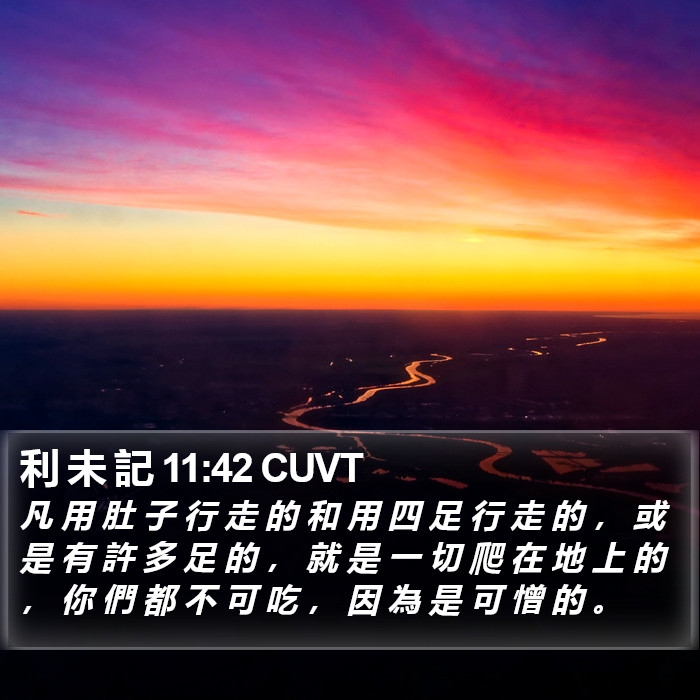 利 未 記 11:42 CUVT Bible Study