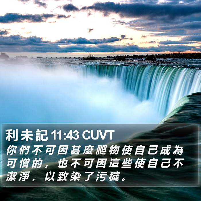 利 未 記 11:43 CUVT Bible Study
