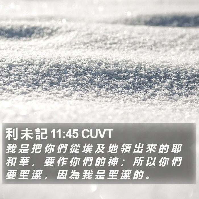 利 未 記 11:45 CUVT Bible Study