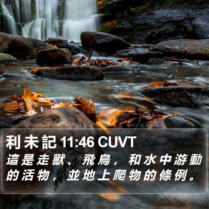利 未 記 11:46 CUVT Bible Study