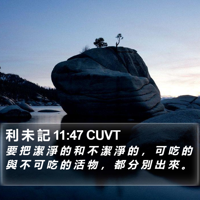 利 未 記 11:47 CUVT Bible Study